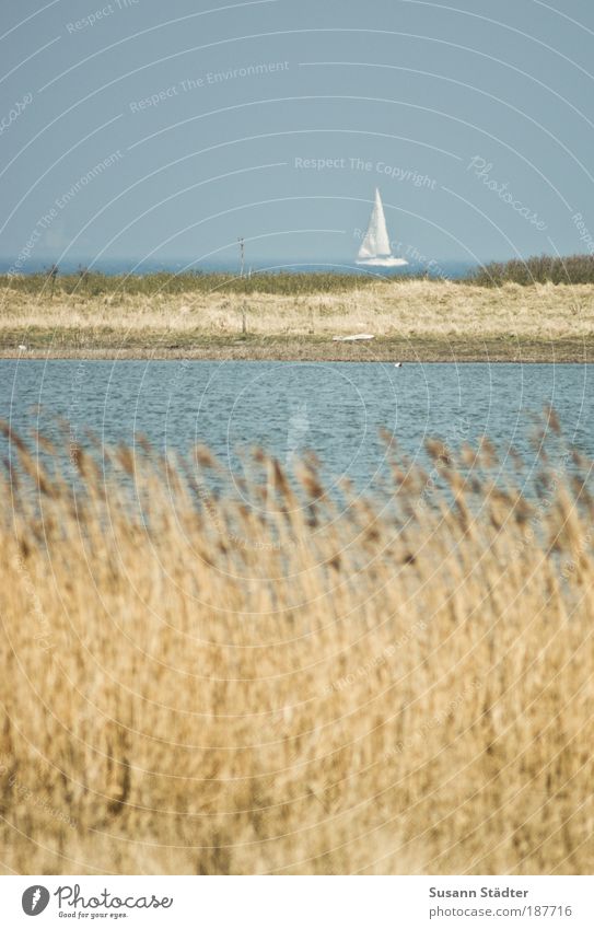 Kurs 2-9-9 Ausflug Ferne Kreuzfahrt Sommer Sommerurlaub Strand Meer Insel Luft Wasser Wellen Küste Seeufer Ostsee Schifffahrt Bootsfahrt Segelboot Bewegung