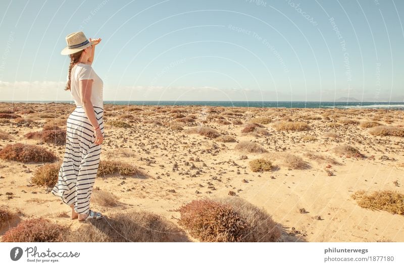 Ausblick Ferien & Urlaub & Reisen Tourismus Ausflug Abenteuer Ferne Freiheit Sommer Sommerurlaub Sonne Strand Meer Umwelt Natur Landschaft Sand Klima