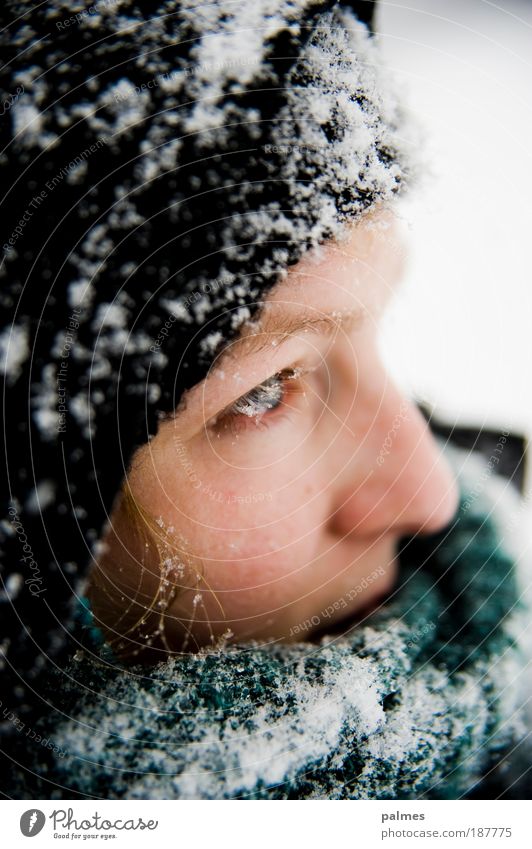 Schneegedanken Vol.2 Haut Gesicht feminin Junge Frau Jugendliche Kopf Haare & Frisuren Auge Nase 1 Mensch 18-30 Jahre Erwachsene Schal Mütze blond kalt