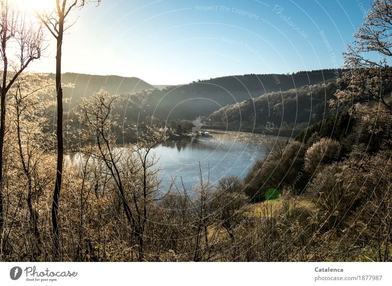 Einruhr wandern Landschaft Pflanze Luft Wasser Himmel Sonne Winter Schönes Wetter Eis Frost Baum Sträucher See Nationalpark Eifel Obersee Rurtalsperre Dorf