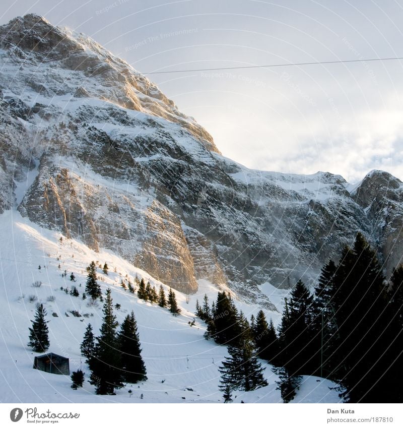 Weihnachtsbaumgrenze Natur Urelemente Himmel Wolken Winter Wetter Nebel Eis Frost Schnee Berge u. Gebirge Berg Säntis Gipfel Schneebedeckte Gipfel träumen kalt