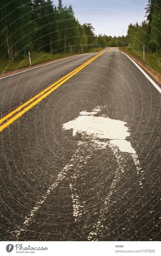 Elchtest Umwelt Natur Landschaft Wald Norwegen Verkehr Verkehrswege Straße Wege & Pfade Verkehrszeichen Verkehrsschild Zeichen Schilder & Markierungen