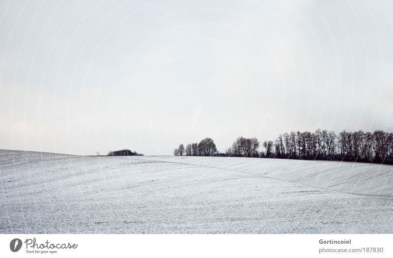 Winter Umwelt Natur Landschaft Luft Himmel Wolken Schnee Baum Feld Wald Hügel atmen hell kalt schwarz weiß Linie Farblosigkeit leer Ferne Winterstimmung