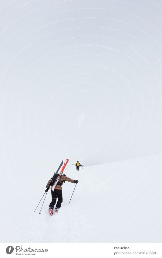 Backcountry-Skifahrer zu Fuß bis zum Gipfel des Berges Abenteuer Winter Schnee Berge u. Gebirge Sport Mann Erwachsene Nebel weiß alpin Rucksack kalt Europa