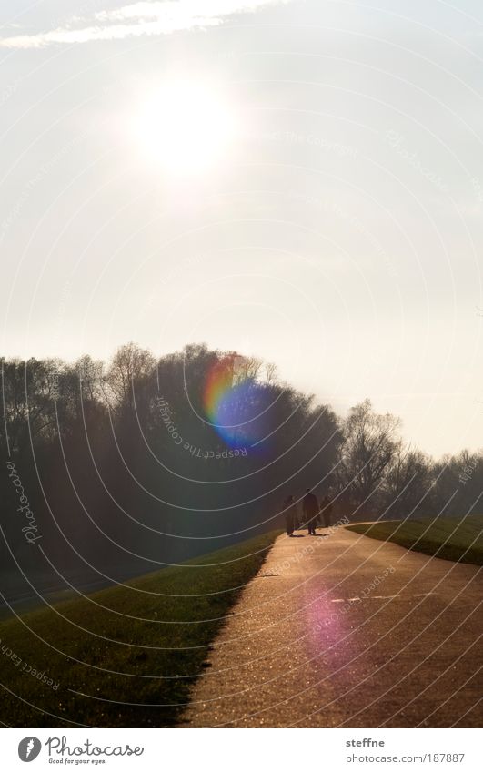 Osterspaziergang Umwelt Natur Landschaft Schönes Wetter Park Wiese Feld laufen Farbfoto Außenaufnahme Tag Licht Gegenlicht