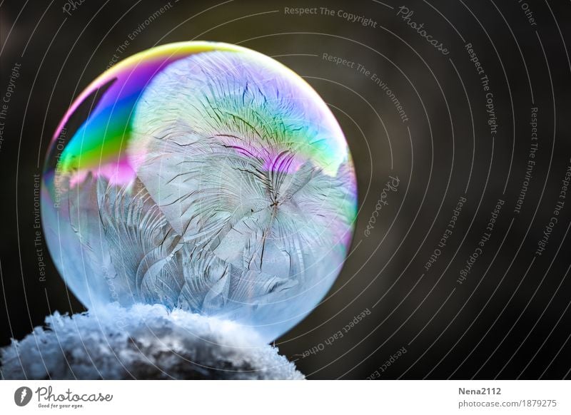 Frozen express Winter frieren ästhetisch fantastisch rund mehrfarbig geheimnisvoll Seifenblase Frost kalt regenbogenfarben Eiskristall Eisblumen geduldig