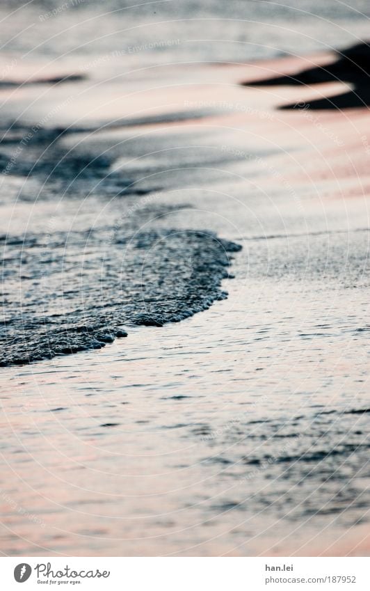 Gezeiten Sommerurlaub Strand Meer Wellen Sand Wasser Wassertropfen Schönes Wetter Küste See Bewegung träumen Flüssigkeit Flut Ebbe Tiefenschärfe fließen