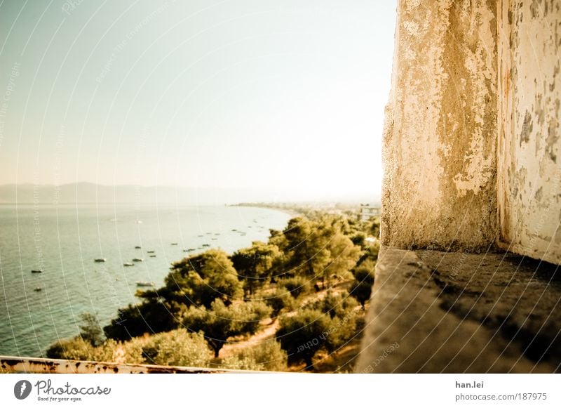 Ausblick Farbfoto Menschenleer Schönes Wetter Textfreiraum links Textfreiraum oben Sonnenlicht Blauer Himmel Aussicht Meer Küste Baum Wasserfahrzeug Horizont