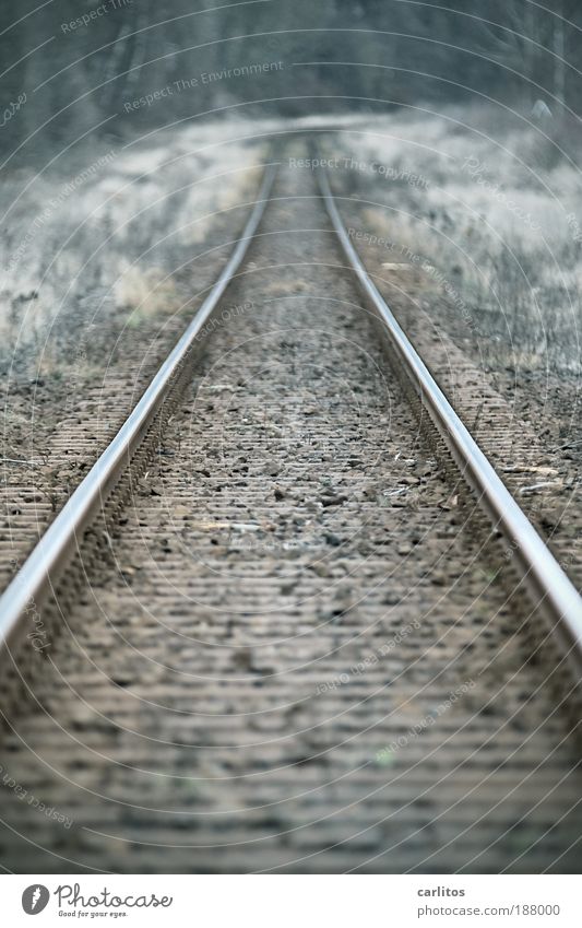 Es fährt ein Zug ... Energiekrise Herbst Verkehrswege Personenverkehr Öffentlicher Personennahverkehr Güterverkehr & Logistik Bahnfahren Schienenverkehr Gleise