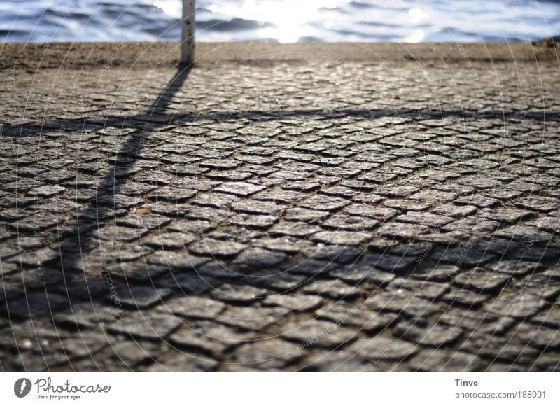 es wartet schon ein neues Jahr... Wasser Schönes Wetter See Stadtrand Glück Hoffnung Sehnsucht Heimweh Erholung Gefühle Zufriedenheit Optimismus träumen Ziel