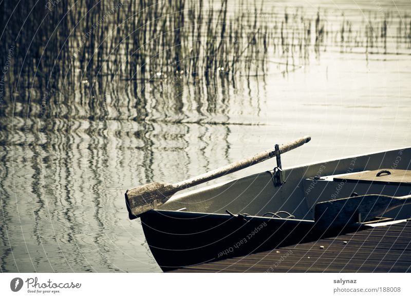 _ Freizeit & Hobby Ferien & Urlaub & Reisen Freiheit Sommer Natur Wasser Seeufer Ruderboot Steg Erholung schaukeln träumen frei blau braun gold weiß Stimmung