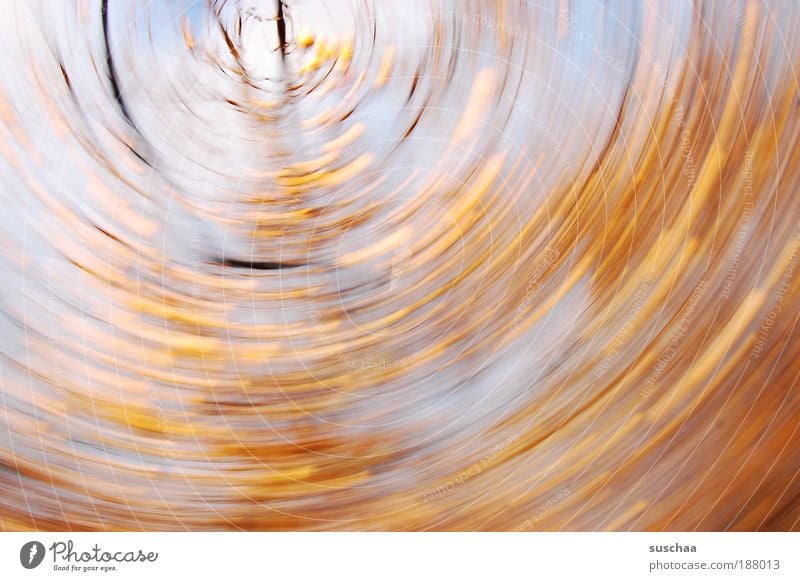 nachher gehts rund .. Umwelt Natur Landschaft Himmel Klima Klimawandel Wetter Schönes Wetter Unwetter Wind Sturm Baum Wald Holz Geschwindigkeit schön rotieren