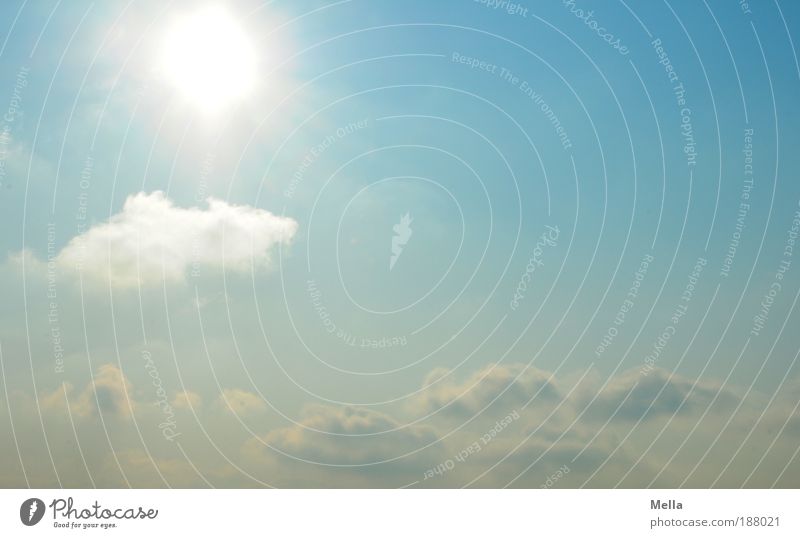 Hallo 2010! Umwelt Natur Luft nur Himmel Wolken Sonne Sonnenlicht Klima Wetter Schönes Wetter leuchten frei Unendlichkeit hell natürlich positiv blau Glück