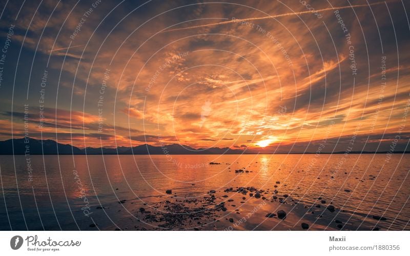 Chiemsee Sonnenuntergang Natur Landschaft Wasser Himmel Wolken Sonnenaufgang Winter Schönes Wetter Wellen Seeufer glänzend Unendlichkeit Wärme blau mehrfarbig