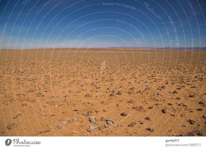 Die Weite Namibias Ferien & Urlaub & Reisen Ausflug Abenteuer Ferne Freiheit Safari Sommer Sonne Umwelt Natur Landschaft Erde Sand Luft Himmel