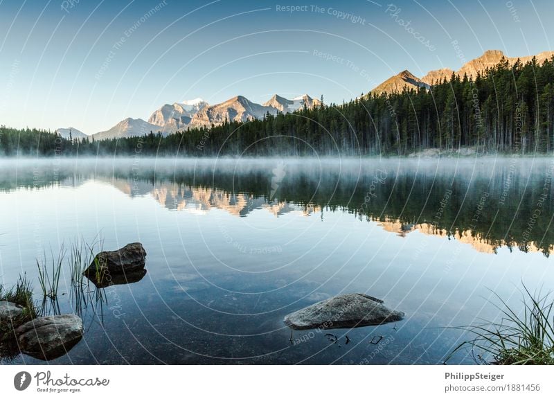 Herbert Lake Landschaft Wasser Wolkenloser Himmel Nebel Seeufer außergewöhnlich Stimmung Abenteuer Einsamkeit Erholung erleben Freiheit Stein Nadelwald