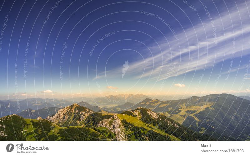 Zahmer Kaiser Blick Umwelt Natur Landschaft Urelemente Himmel Sonnenlicht Sommer Schönes Wetter Wärme Gras Sträucher Hügel Felsen Alpen Berge u. Gebirge Gipfel