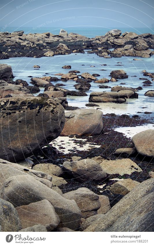 kein leichtes Badevergnügen. Ferien & Urlaub & Reisen Tourismus Ausflug Ferne Sommer Strand Meer Natur Herbst Felsen Küste Bucht Stein Wasser kalt nass