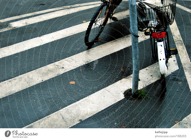 streifenwagen Verkehr Verkehrsmittel Verkehrswege Personenverkehr Straße Wege & Pfade Verkehrszeichen Verkehrsschild Fahrzeug Fahrrad Zeichen Hinweisschild