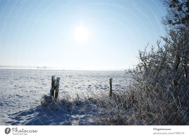 Ein Traum in weiß Freizeit & Hobby Ferien & Urlaub & Reisen Ausflug Ferne Freiheit Winter Schnee Winterurlaub Fernsehen schauen fantastisch Coolness