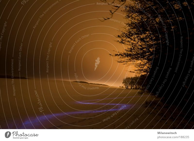 Geschlängel Winter Schnee Natur Landschaft Nachthimmel Horizont Feld frieren laufen kalt gelb gold Stimmung ruhig Bewegung Einsamkeit entdecken Entschlossenheit