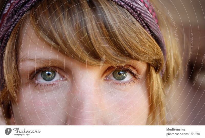 denkdenk ruhig feminin Junge Frau Jugendliche Haare & Frisuren Gesicht Auge 1 Mensch 30-45 Jahre Erwachsene Haarband blond Denken Blick warten authentisch