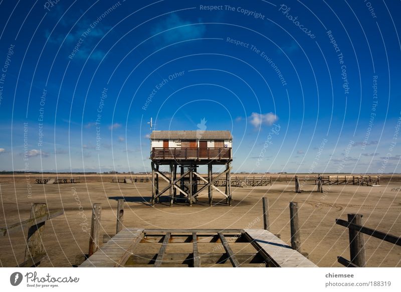 Nordsee St. Peter-Ording Erde Luft Himmel Horizont Schönes Wetter Wind Küste Watt Wattenmeer Ebbe Menschenleer Pfahlhaus Treppe Sand Erholung genießen