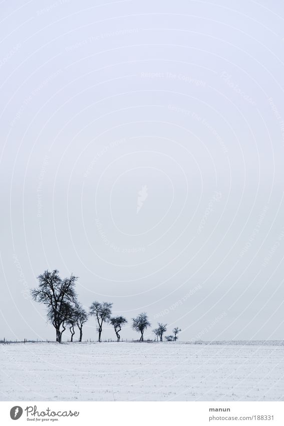 Ruhezeit Natur Landschaft Himmel Winter Eis Frost Schnee Baum Feld Erholung frieren kalt trist blau weiß Traurigkeit Frustration Einsamkeit ruhig stagnierend