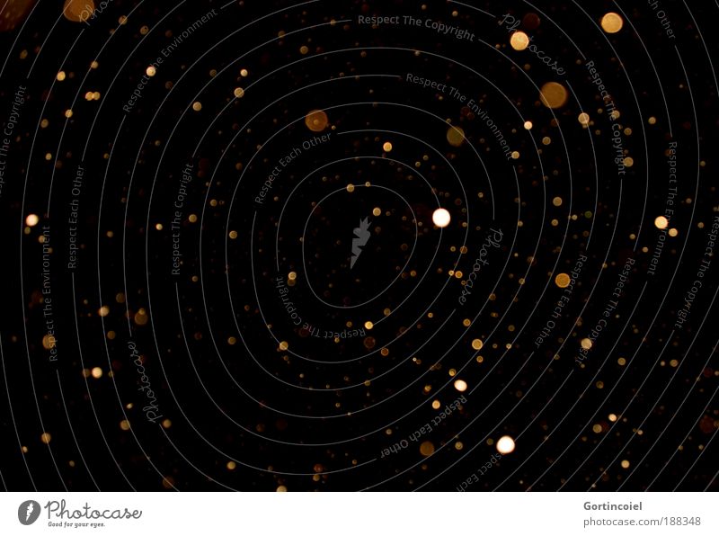 Sternenstaub Himmel Nachthimmel Winter Schnee Schneefall glänzend schön gold schwarz Reichtum Schneeflocke Schneekristall dunkel Außenaufnahme Experiment Muster