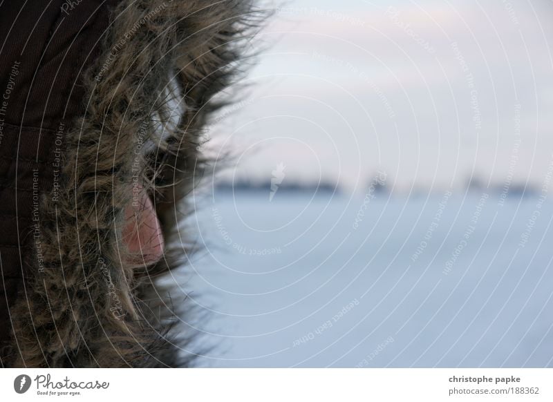 Hello Daisy Ferne Winterurlaub Mensch Kopf Gesicht Nase 1 schlechtes Wetter Eis Frost Schnee Fell Mütze Kapuze frieren kalt Einsamkeit Sibirien klirrende Kälte