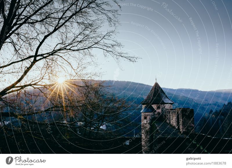 Burg Hirschhorn Erholung ruhig Tourismus Ausflug Umwelt Natur Landschaft Himmel Wolkenloser Himmel Horizont Winter Schönes Wetter Wald Hügel Hessen hirschhorn