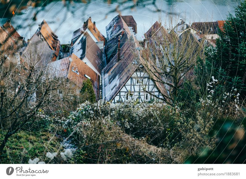 Hirschhorn am Neckar Ferien & Urlaub & Reisen Umwelt Landschaft Winter Schönes Wetter Hessen Dorf Kleinstadt Altstadt Haus Gebäude Fassade Dach unten Idylle