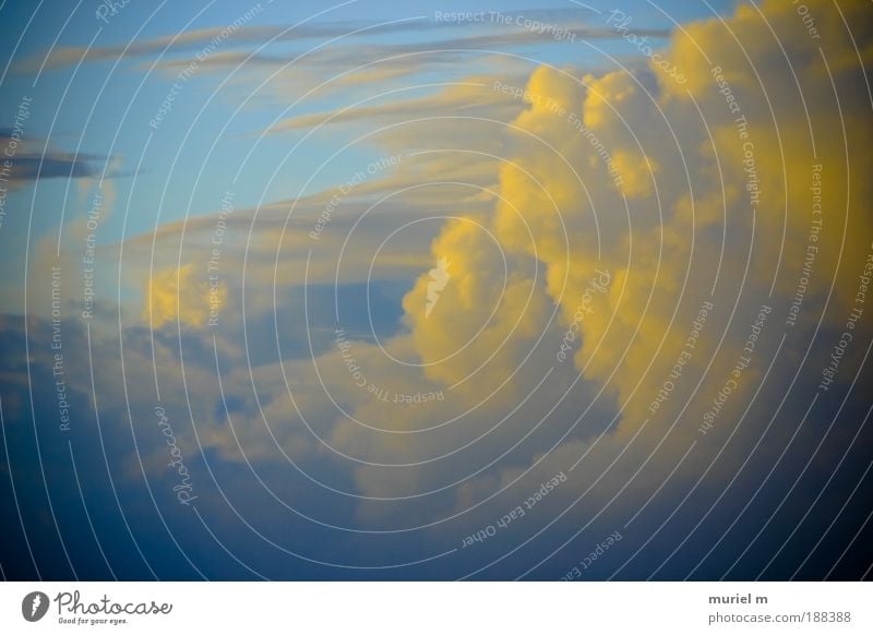 Kanarienwolken Natur Luft Himmel nur Himmel Wolken Gewitterwolken Sonnenlicht Winter Klima Klimawandel Wetter schlechtes Wetter Unwetter Sturm Meer Hafenstadt