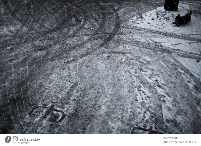 Schneeichweissnichwaszeugs Stil Freizeit & Hobby Joggen Arbeit & Erwerbstätigkeit Hausmeister Dienstleistungsgewerbe Kunst Umwelt Baum Menschenleer Platz