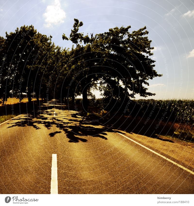 roadshow Umwelt Natur Landschaft Himmel Sommer Klima Wetter Schönes Wetter Nutzpflanze Feld Verkehr Verkehrsmittel Verkehrswege Personenverkehr Straßenverkehr