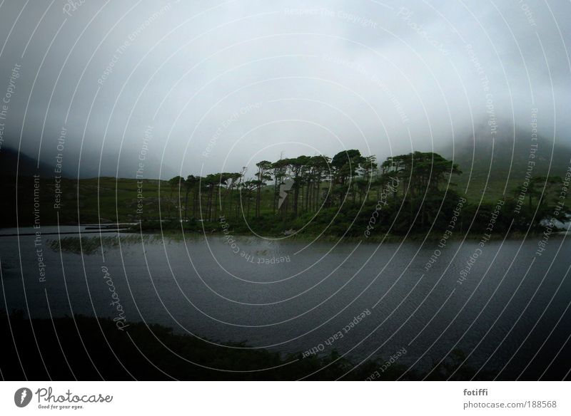 KoboldLand Natur Landschaft Pflanze Urelemente Wasser Himmel Wolken Nebel Insel Moor Sumpf See dunkel Ferne natürlich schön blau grün ruhig Gelassenheit Zeit