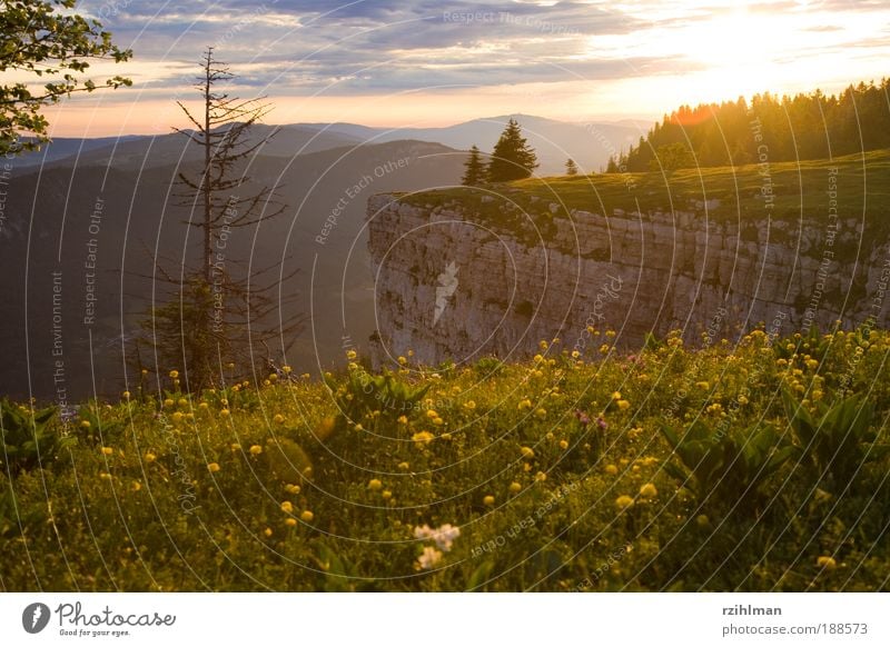 Creux Du Van Natur Landschaft Himmel Wolken Horizont Sonne Sonnenaufgang Sonnenuntergang Sommer Baum Hügel Felsen Berge u. Gebirge Schlucht Stimmung Glück