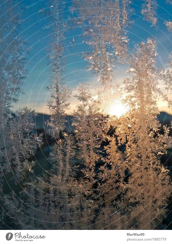 Ice vs. Sun Natur Urelemente Himmel Wolkenloser Himmel Horizont Sonne Sonnenaufgang Sonnenuntergang Sonnenlicht Winter Schönes Wetter Eis Frost Hügel Alpen