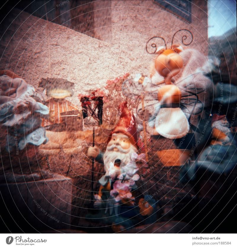 Gartenzwerge Dekoration & Verzierung schön Kitsch klein Farbfoto Holga Außenaufnahme