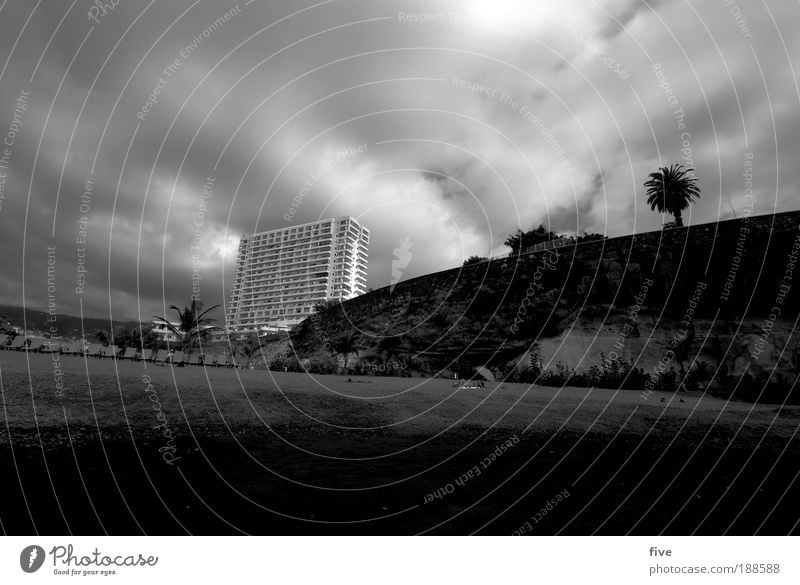 tenerife. Umwelt Natur Sand Himmel Wolken Sommer Baum Meer Haus liegen Wärme schwarz weiß Teneriffa Spanien Strand Sonnenbad Hotel Hochhaus Palme Badeferien