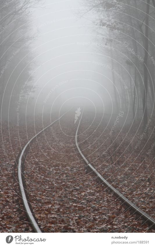 ins nirgendwo ... Landschaft Herbst Winter Nebel Wald Schienenverkehr Bahnfahren Eisenbahn Gleise Farbfoto Gedeckte Farben Außenaufnahme Morgen Silhouette Tag