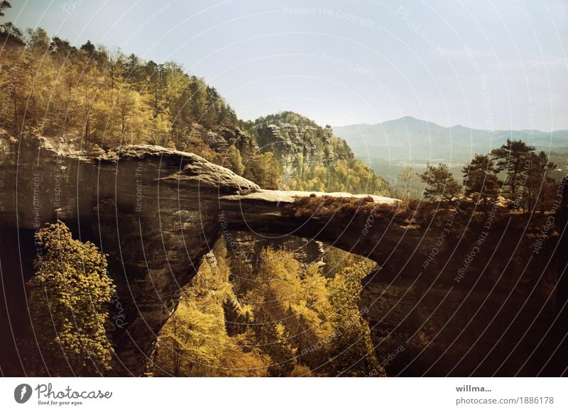 Prebischtor, Felsbrücke in Hrensko Landschaft Felsen Berge u. Gebirge Felsentor Böhmische Schweiz Natur herbstlich Elbsandsteingebirge Aussicht Tourismus