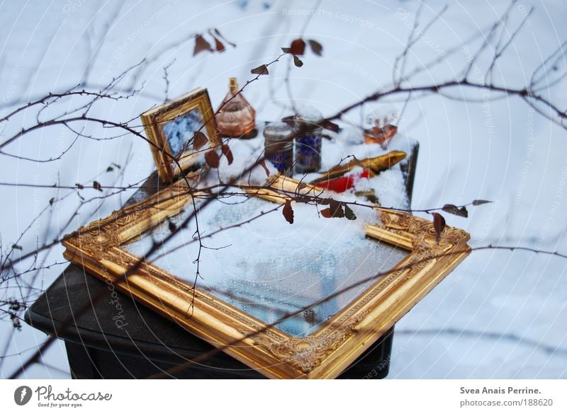 du bist eis...eiskalt. Garten Renovieren einrichten Tisch Spiegel Umwelt Winter Eis Frost Schnee Baum Blatt Dose Holz Gold Tropfen frieren verblüht elegant