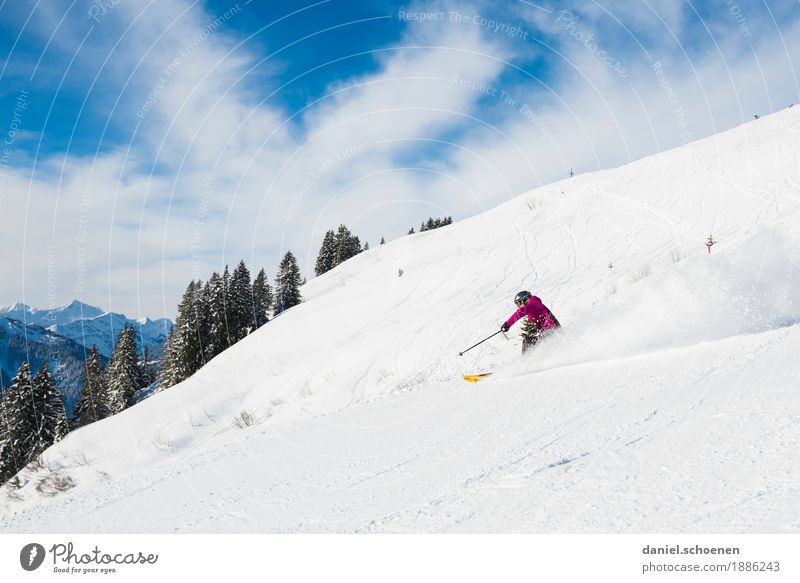 Abfahrt Freizeit & Hobby Ferien & Urlaub & Reisen Winter Schnee Winterurlaub Berge u. Gebirge Wintersport Skifahren Mensch feminin Junge Frau Jugendliche 1