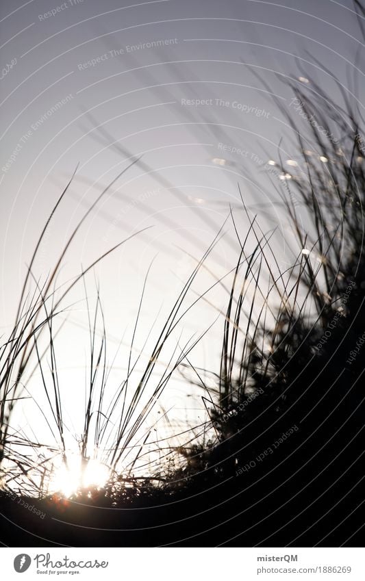 Dünenaufgang. Kunst Kunstwerk ästhetisch Ostsee Stranddüne Dünengras Gras Wiese wehen bodennah Sonnenaufgang Himmel dezent Natur Außenaufnahme Farbfoto