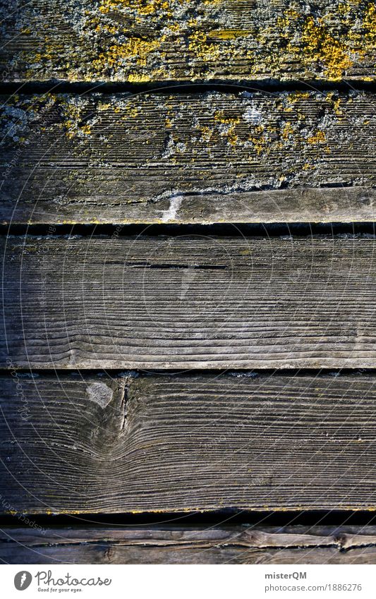 Strandleben V Garten ästhetisch Ostsee Ostseeinsel Holz Holzbrett Holztisch Holzfußboden Holzwand Holzhaus Holzplatte Holzhütte Steg Farbfoto Gedeckte Farben