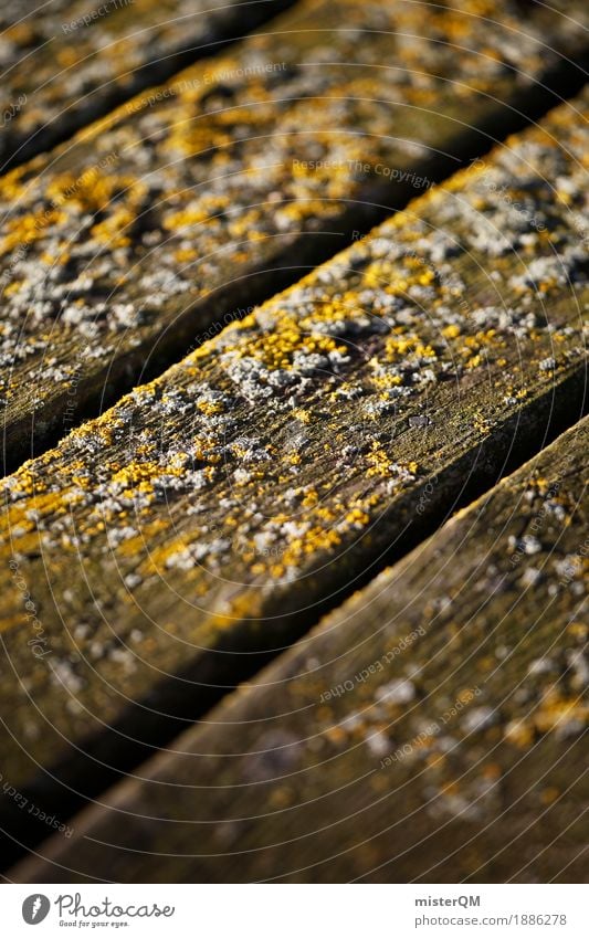 Meerboden. Kunst ästhetisch Boden Holzfußboden Schimmel verrotten Meerwasser Ostsee Holzbrett dezent Farbfoto mehrfarbig Außenaufnahme Nahaufnahme