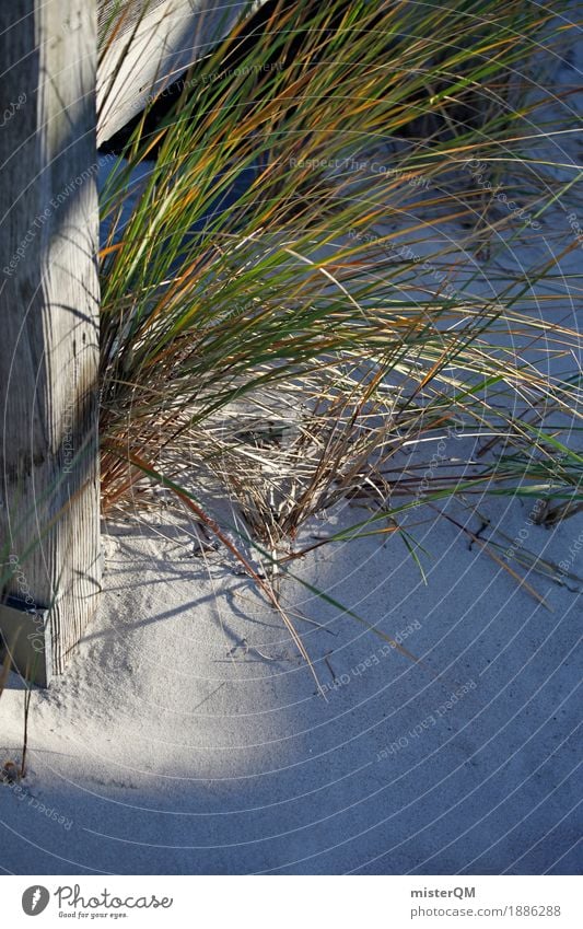 Strandleben II Natur ästhetisch Ostsee Ostseeinsel Gras Grasland Sand Urlaubsfoto Urlaubsstimmung Wegrand Dünengras Farbfoto Gedeckte Farben Außenaufnahme