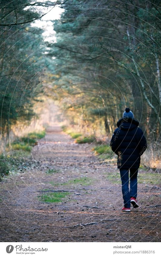 Ostseelauf. Kunst ästhetisch Wege & Pfade Fußweg Pfadfinder Mütze Allee Wald Waldboden Waldlichtung Waldrand Waldwiese Waldpflanze laufen Spaziergang Spazierweg