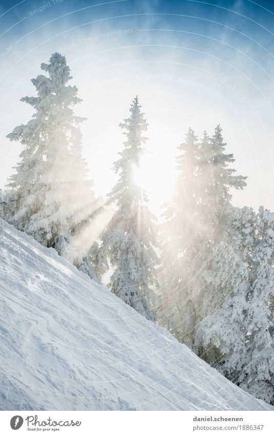 Vorfreude 2 Ferien & Urlaub & Reisen Winter Schnee Winterurlaub Berge u. Gebirge Umwelt Natur Klima Eis Frost Baum hell blau weiß Gedeckte Farben Außenaufnahme